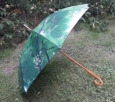 Regenschirm mit DFV-Logo